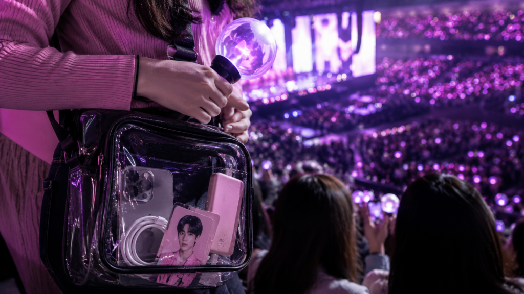 What to Bring to a K-POP Concert